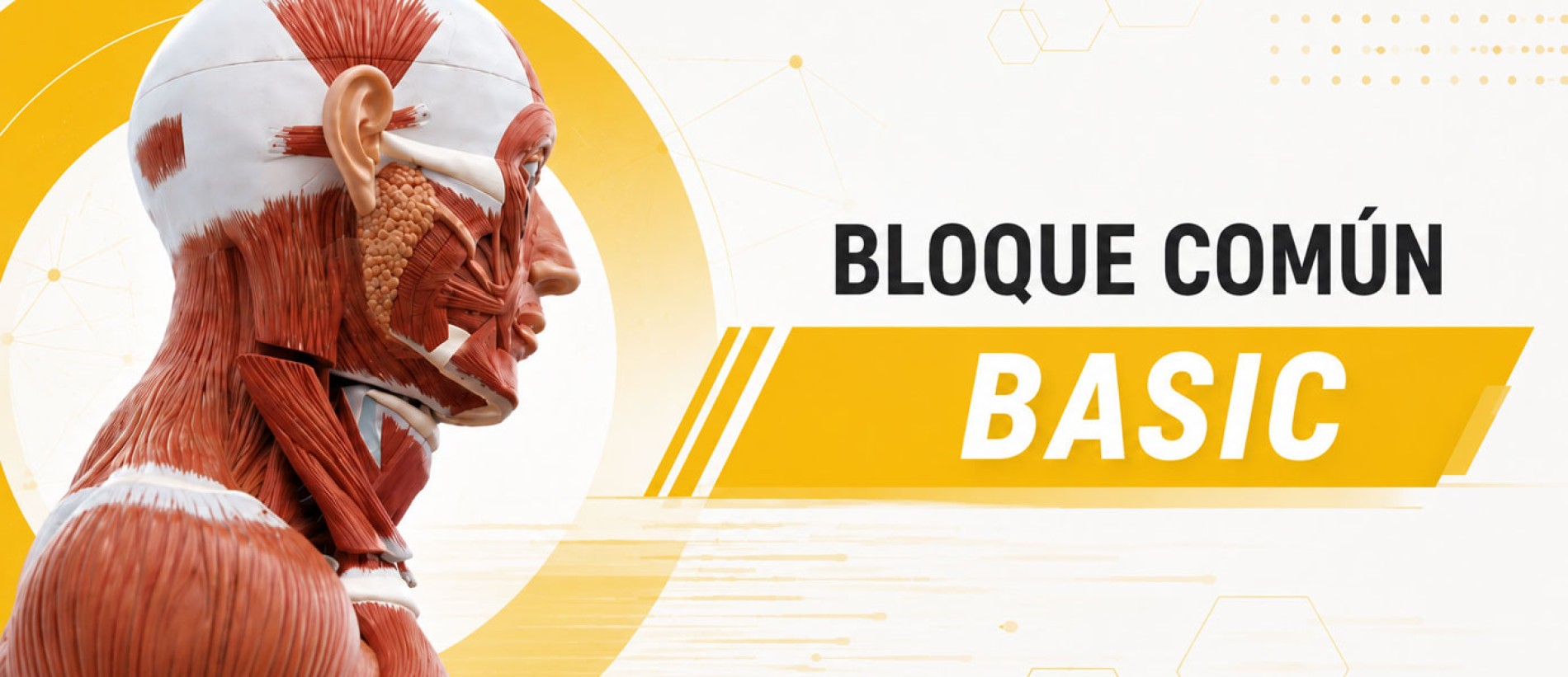 Curso Bloque Común Basico