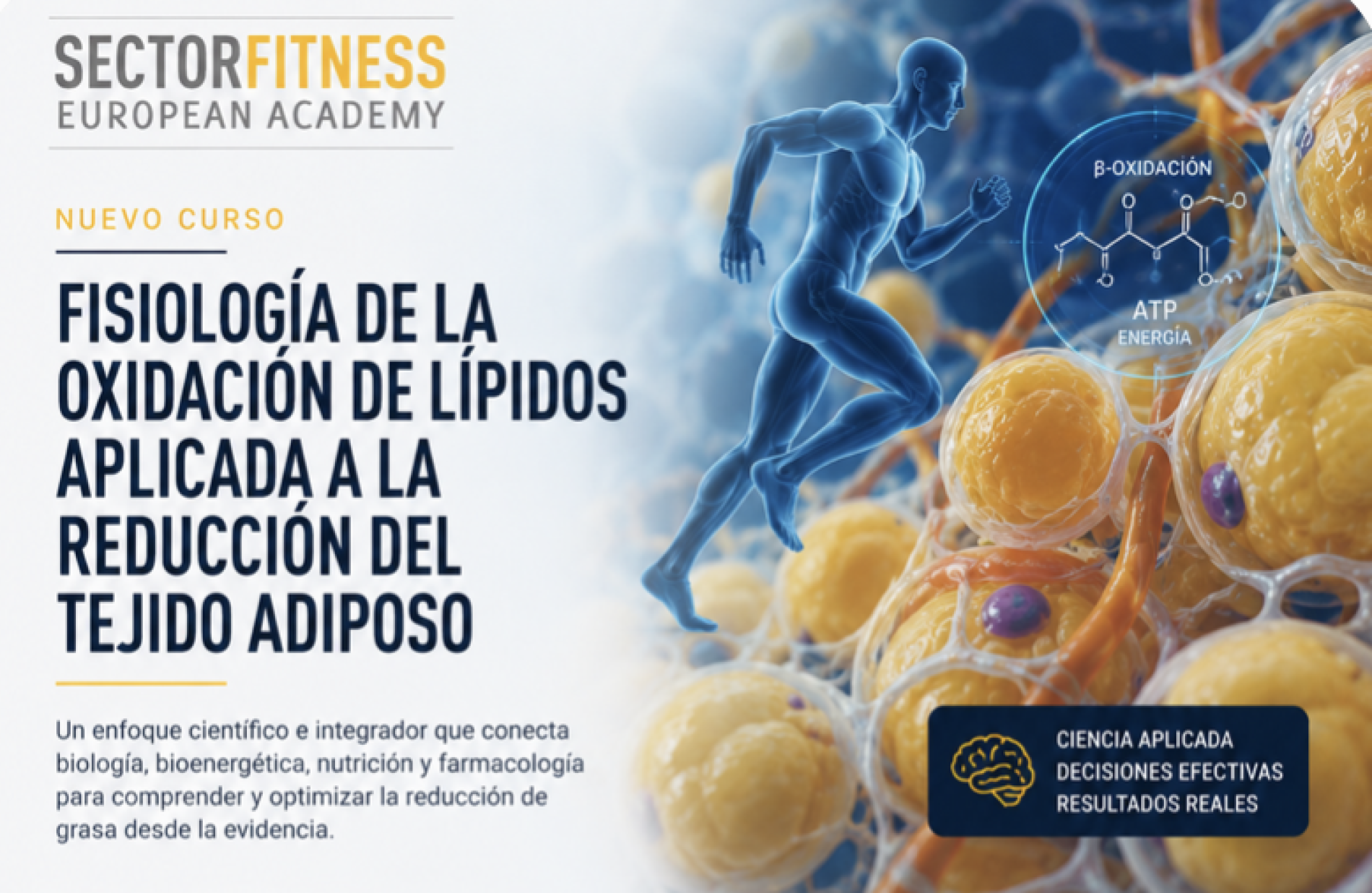 FISIOLOGÍA DE LA OXIDACIÓN DE GRASAS APLICADA A LA REDUCCIÓN DEL TEJIDO ADIPOSO