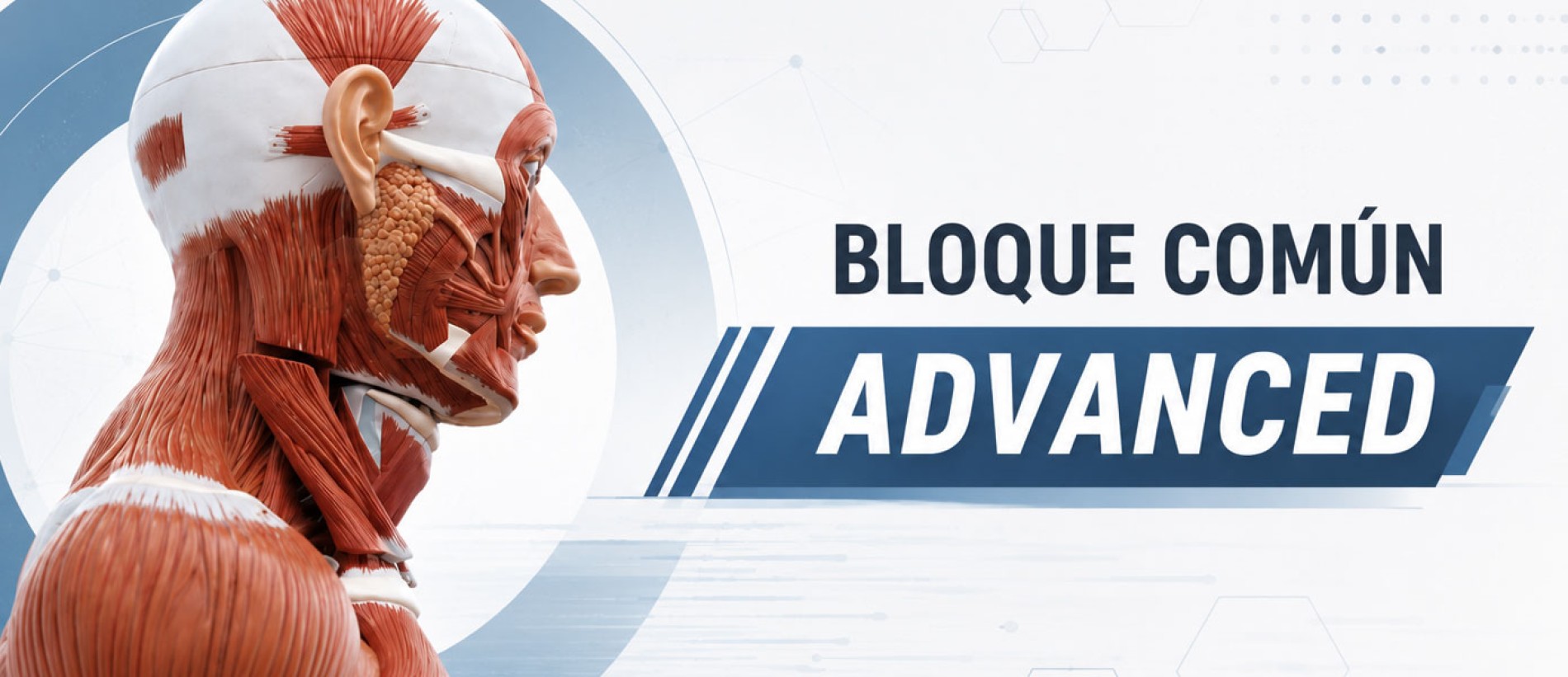 Curso Bloque Común Avanzado