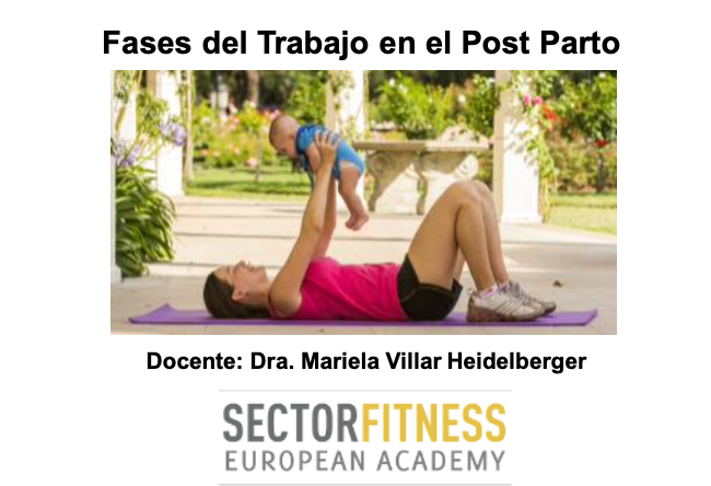 Webinar Post Parto Activo " Fases de trabajo en el post parto" 